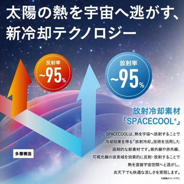 ビッグボーン／SP901 商品解説1