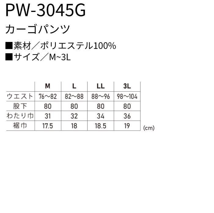 ʷ֡PW-3045Gåץ12