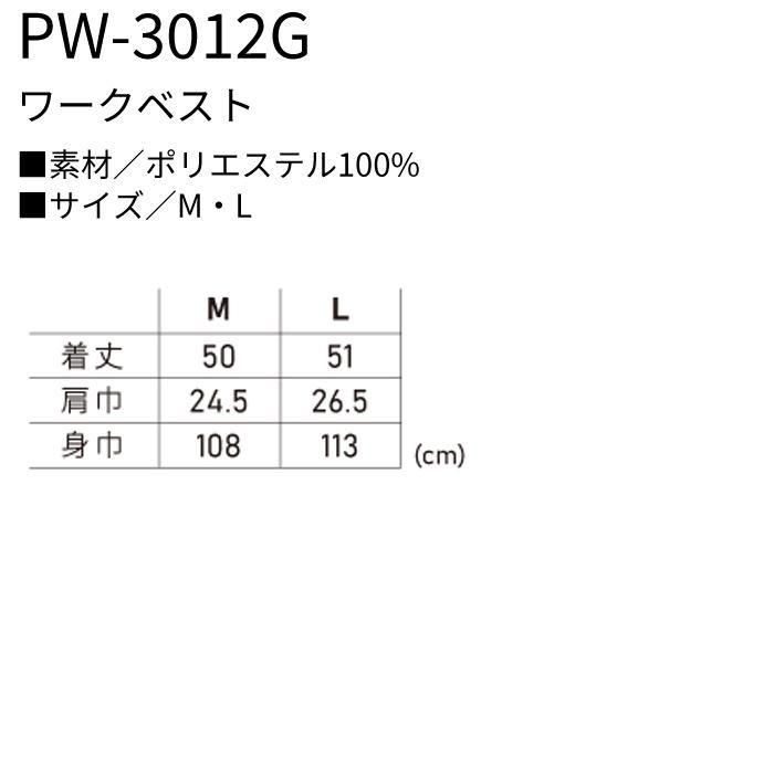 ʷ֡PW-3012Gåץ10