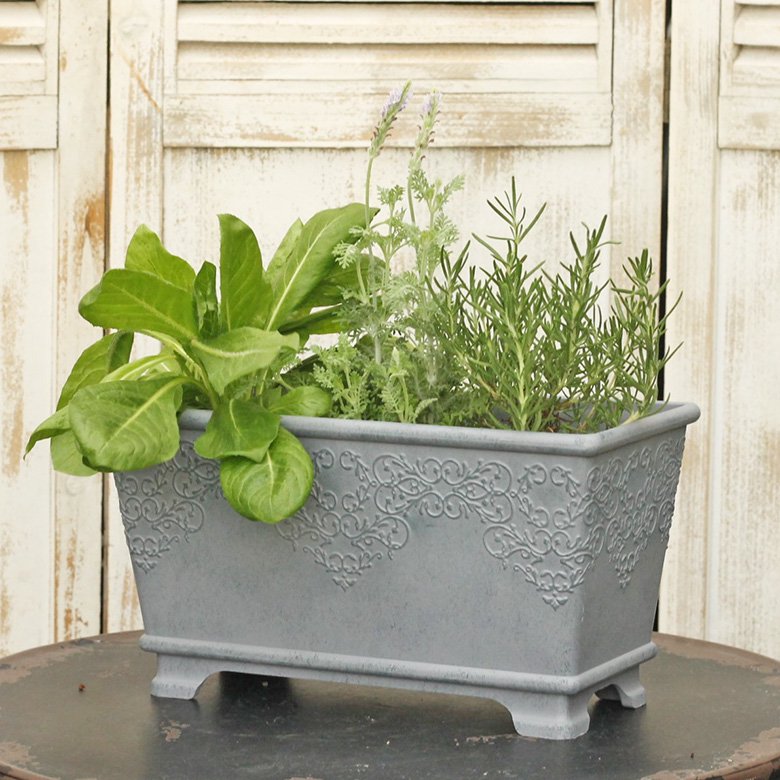 ガーデニング雑貨 鉢 プランター コレットプランターSサイズ アイボリー/グリーン/グレー 寄せ植え 鉢植え 花鉢