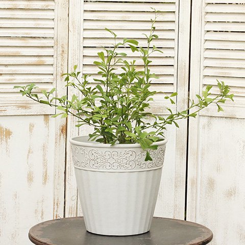 ガーデニング雑貨 鉢 コレットラウンドLサイズ アイボリー/グレー 寄せ植え 鉢植え 花鉢