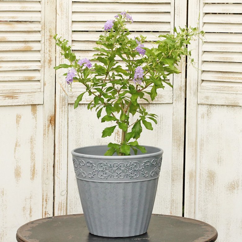 ガーデニング雑貨 鉢 コレットラウンドSサイズ アイボリー/グレー 寄せ植え 鉢植え 花鉢
