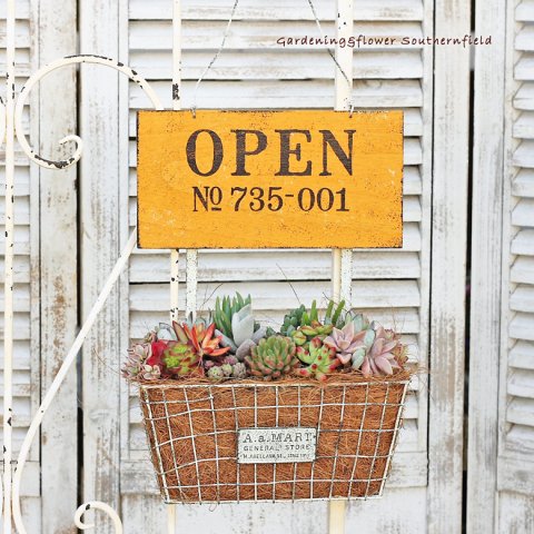 多肉植物 寄せ植え ギャザリング ウッドプレート ナチュラルワイヤーバスケット サザンフィールド 花寄せ植え おしゃれな観葉植物 ガーデニング雑貨の 通販