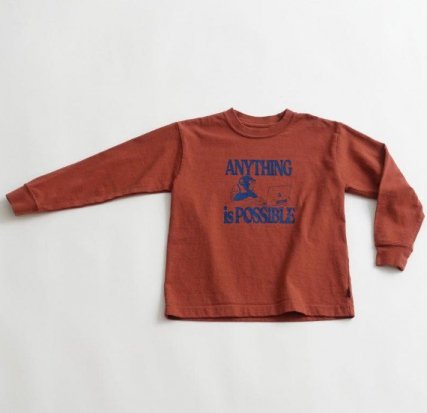 饤USA CO L/S TEE ANYTHING