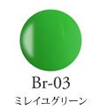 Br-03