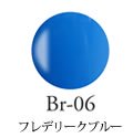 Br-06