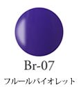 Br-07