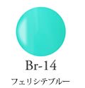 Br-14