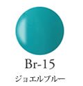 Br-15