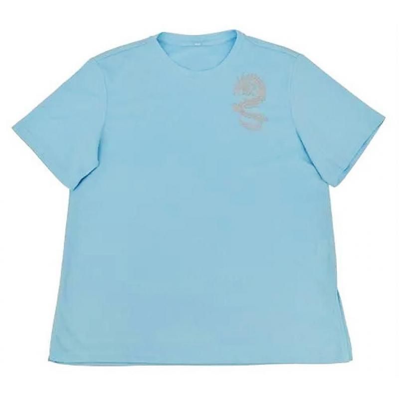 蒼天の拳 Tシャツ Lサイズ 蒼天の拳 Tシャツ Lサイズ