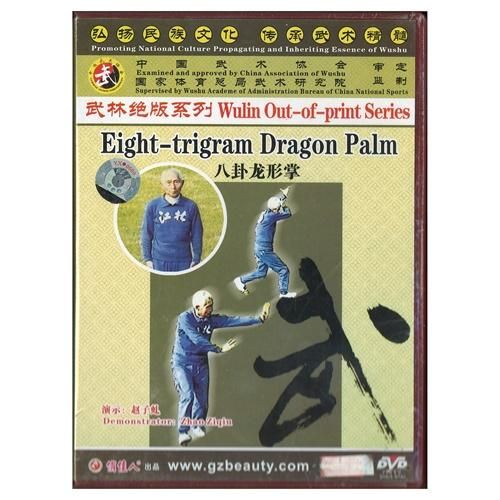 八卦龍形掌（中国語）｜太極縁