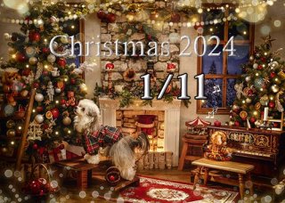 1/11 xmas2023@milimilk  10:30~