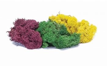 饤ʽ¾ߥå Lichen - Large Autumn Mix