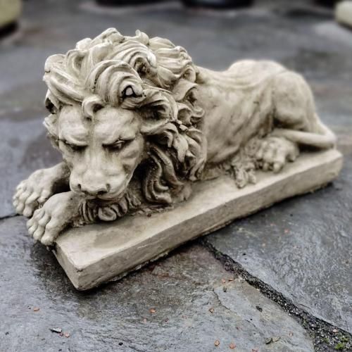 AND65 LION (LOOK UP) - WONDERDECOR