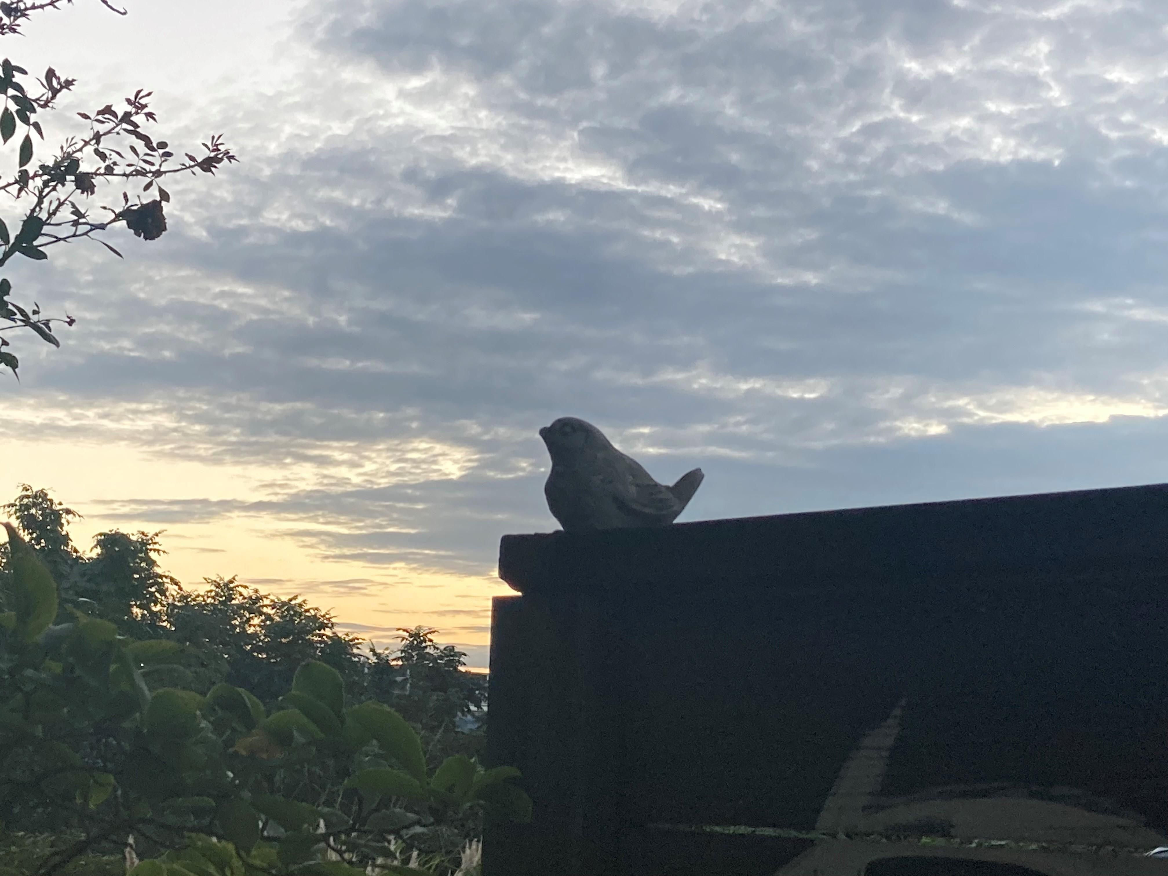 ワンダーデコール　小人3体セット WONDERDECOR