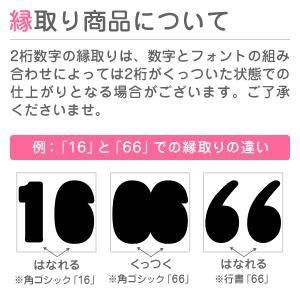 切り文字 【30】 サイズ：3L(うちわ最大サイズ) 素材