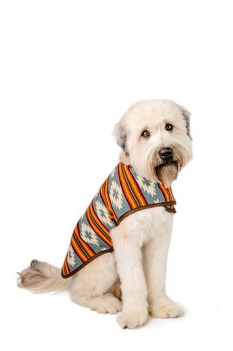 Chilly Dog - Denim Sunset Coat (L)-(XL)大型犬サイズ
