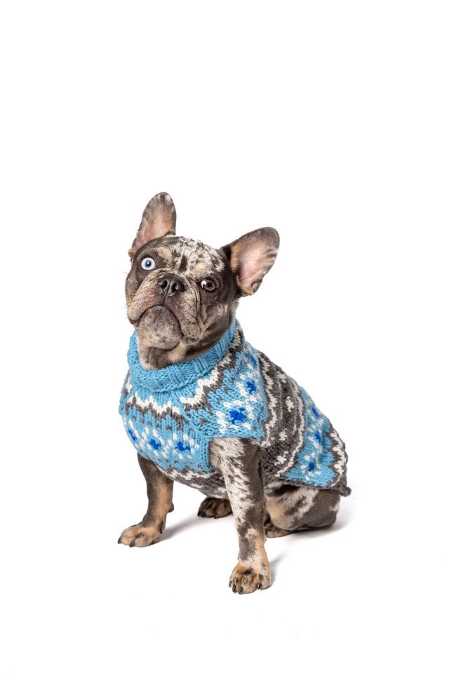 Chilly Dog Sweaters -Light Blue Fairisle (XS)小型犬サイズ
