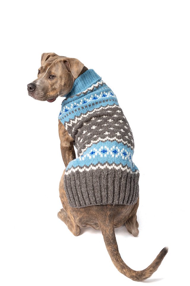 Chilly Dog Sweaters -Light Blue FairIsle (XXL) 大型犬サイズ
