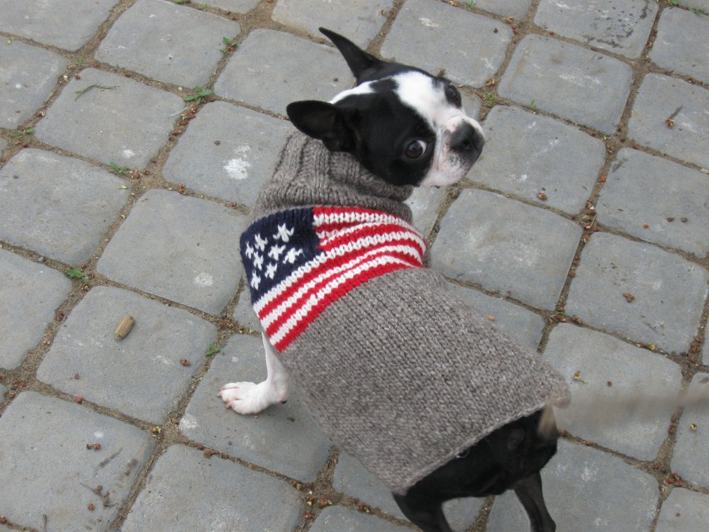 <img class='new_mark_img1' src='https://img.shop-pro.jp/img/new/icons25.gif' style='border:none;display:inline;margin:0px;padding:0px;width:auto;' />Chilly Dog sweaters- American Flag  (S)-(M)小型—中型犬サイズ