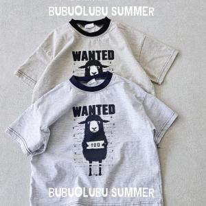 <img class='new_mark_img1' src='https://img.shop-pro.jp/img/new/icons14.gif' style='border:none;display:inline;margin:0px;padding:0px;width:auto;' />ͽtee+adult