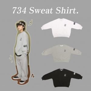 <img class='new_mark_img1' src='https://img.shop-pro.jp/img/new/icons14.gif' style='border:none;display:inline;margin:0px;padding:0px;width:auto;' />ͽ734mtm+adult