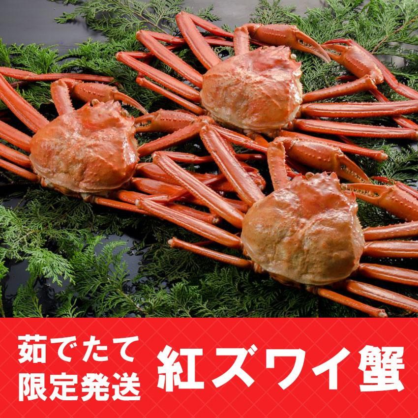 觤ǤƸȯȥ磻