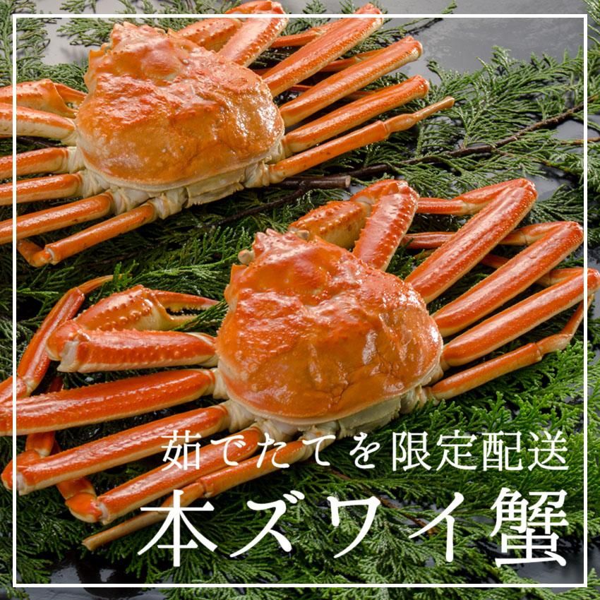 觤ǤƤܥ磻