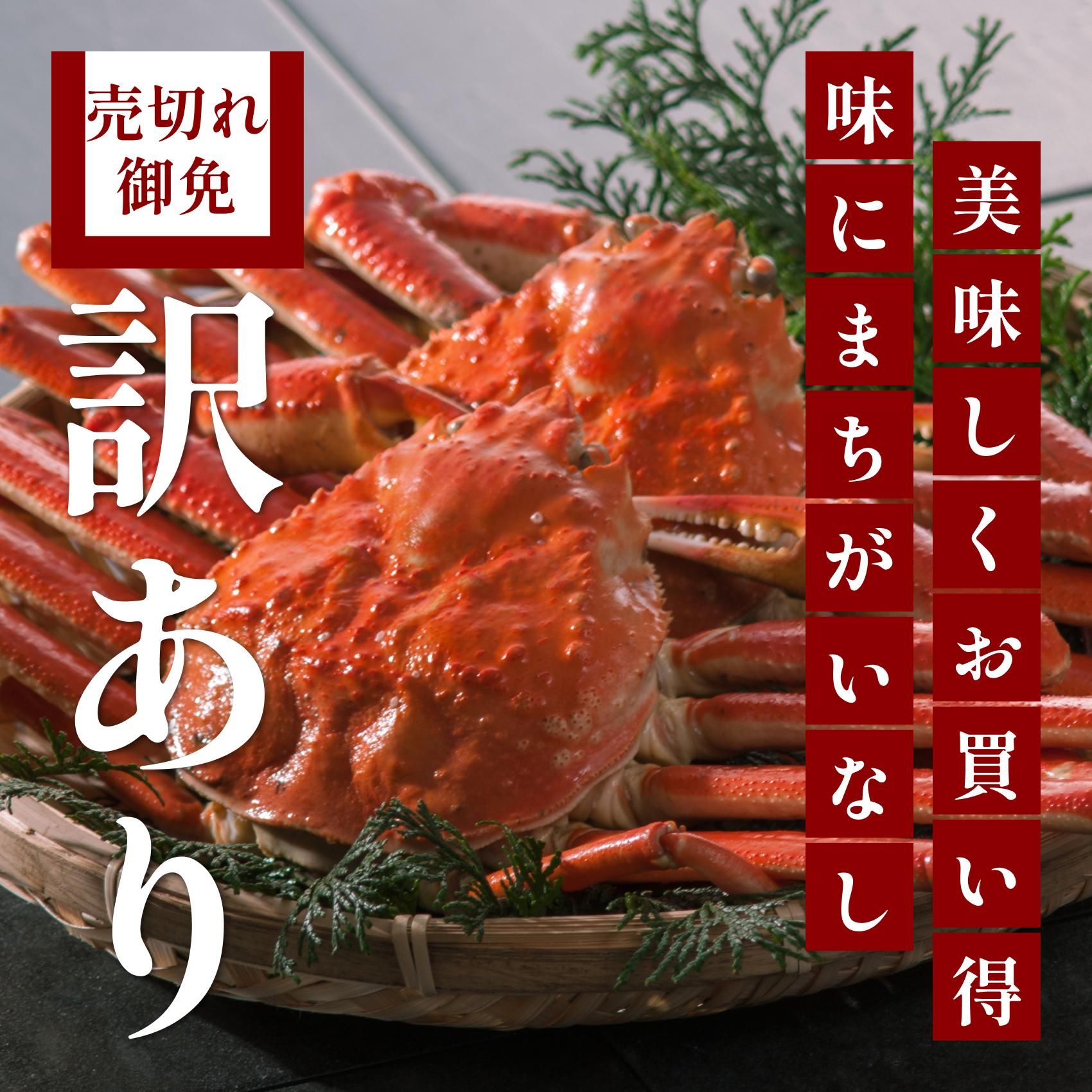 꾦