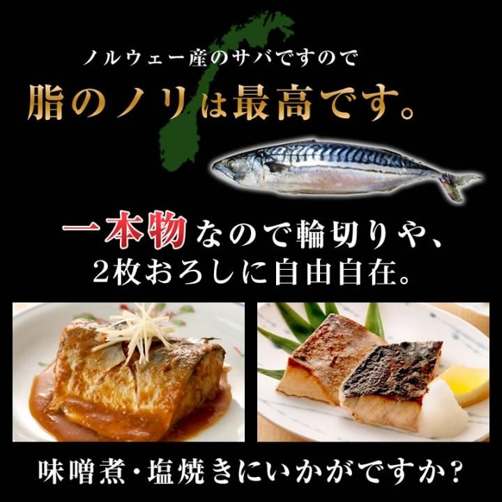 無塩 サバ一本物 3尾 ノルウェー産 冷凍 紅ズワイガニ ずわい蟹 タラバガニ 塩引き鮭 カニ通販 小針かに屋 小針水産