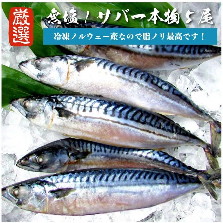無塩 サバ一本物 5尾 (ノルウェー産) 冷凍 鯖 さば 一本物 味噌
