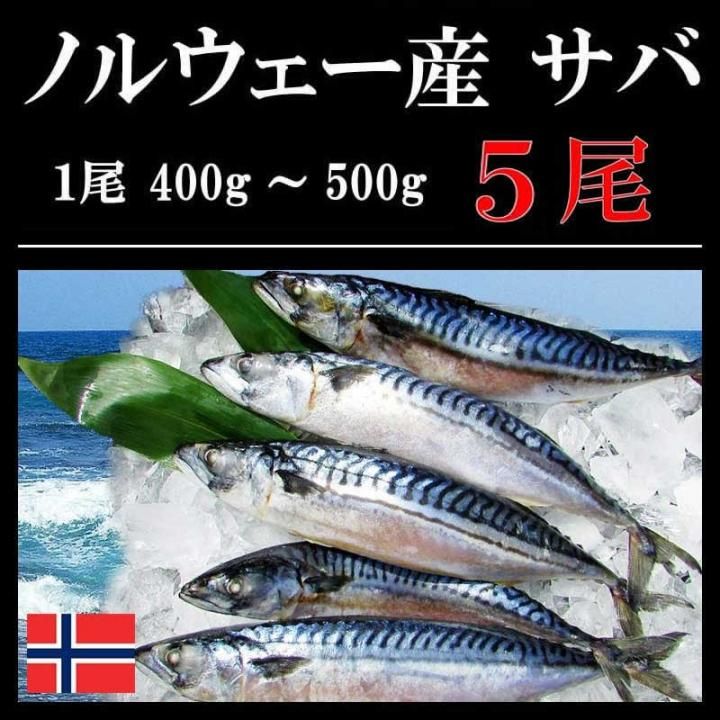 無塩 サバ一本物 5尾 ノルウェー産 冷凍 紅ズワイガニ ずわい蟹 タラバガニ 塩引き鮭 カニ通販 小針かに屋 小針水産 無塩 サバ一本物 5尾 ノルウェー産 冷凍 紅ズワイガニ ずわい蟹 タラバガニ 塩引き鮭 カニ通販 小針かに屋 小針水産