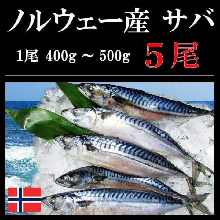 無塩 サバ一本物 5尾 ノルウェー産 冷凍 紅ズワイガニ ずわい蟹 タラバガニ 塩引き鮭 カニ通販 小針かに屋 小針水産