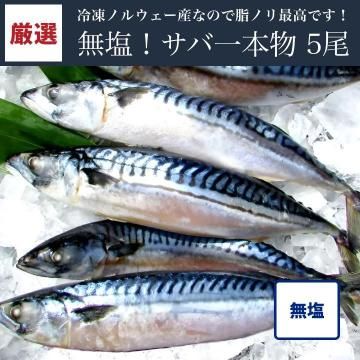 ̵�����а���ʪ 5��(�Υ륦������)