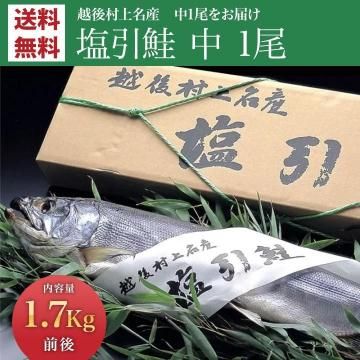 ̵ ¼̾    1 1.7kg (   㤱 㥱 ) ʪ   ե  £ ˤ ֤  ץ쥼 ˤ