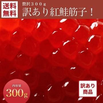 ���������ʡۤ����� 300g������̵����