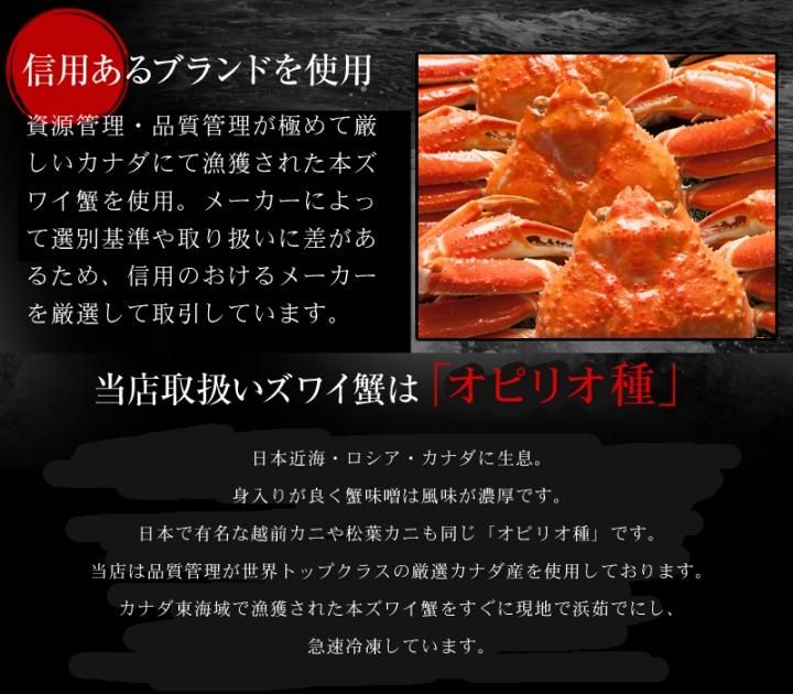 紅ズワイガニ/ずわい蟹/タラバガニ/塩引き鮭 カニ通販【小針かに