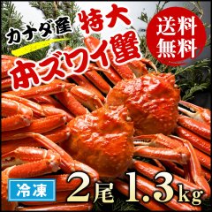 【送料無料】カナダ産 特大本ずわい蟹 2尾（1.3kg前後）【濃厚な蟹みそ】【ギフト 贈答】【かに 蟹 カニ】