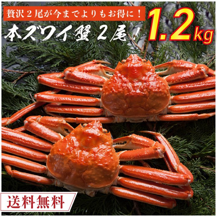 紅ズワイ蟹むきみ 1kg 日本海産 冷凍 紅ずわいがに ベニズワイガニ 紅