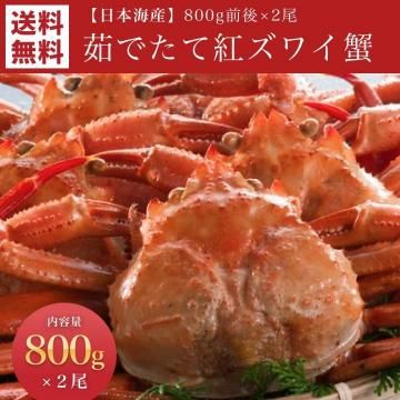 ܳ觤Ǥƹȥ磻 800g2̵