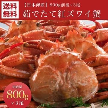 ܳ觤Ǥƹȥ磻 800g3̵