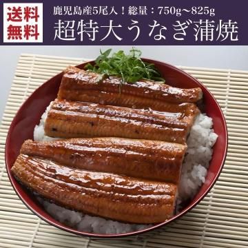 �񻺤��ʤ��γ��Ƥ� 2��(���̡�750~825g)������̵����