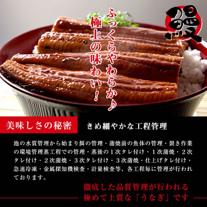 国産 うなぎ 鰻 ウナギ 蒲焼 蒲焼き 鹿児島産 国産うなぎ 蒲焼 1尾