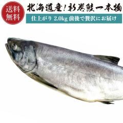 ̳ƻ ʻž 2.3kg  1 ʪ ں  ۥե £ Ʊ ˤ  ι   ̵