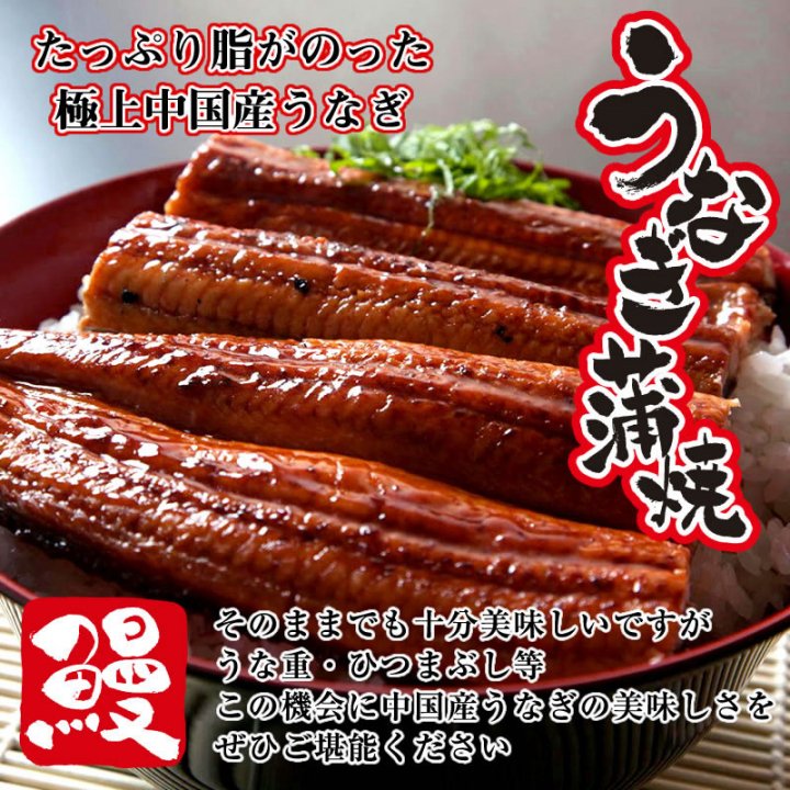 特大 うなぎ 鰻 ウナギ 蒲焼 蒲焼き 中国産うなぎ 蒲焼 1尾 (総量：230~270g) ギフト 土用の丑の日 土用丑 お取り寄せ  取り寄せグルメ夏バテ予防 冷凍 プレゼント - 紅ズワイガニ/ずわい蟹/タラバガニ/塩引き鮭 カニ通販【小針かに屋 小針水産】