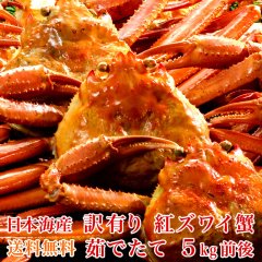【送料無料】日本海産 訳あり 茹でたて紅ズワイ蟹 たっぷり 5kg【かに カニ 蟹】