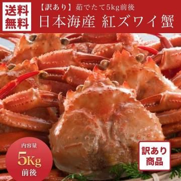 ʡܳ觤Ǥƹȥ磻 5kg̵