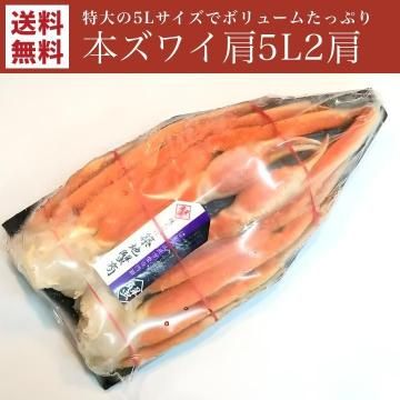 �ܥ��磻�����磻�� 5L2��������̵����