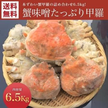 ܥ磻 ˤߤäפͤ碌6.5kg̵