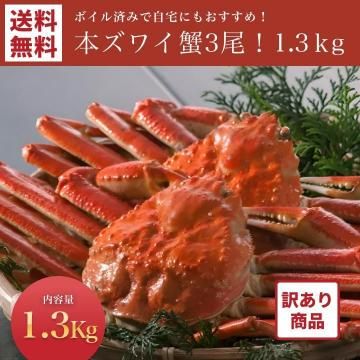 ʡۥܥѤܥ磻 3 1.3kg̵